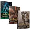 Harry Potter Film Dehlizi Serisi 3  Takım ( Karton Kapak)