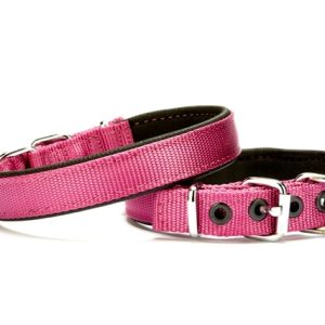 Softlu Köpek Boyun Tasması 1,5 cm x 35 cm Mor