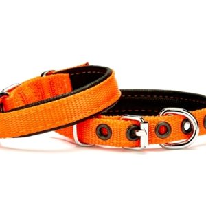 Softlu Köpek Boyun Tasması 1,5 cm x 35 cm Tcu