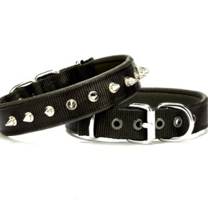 Çivi Desenli Köpek Tasması 2,5*50 cm Siyah