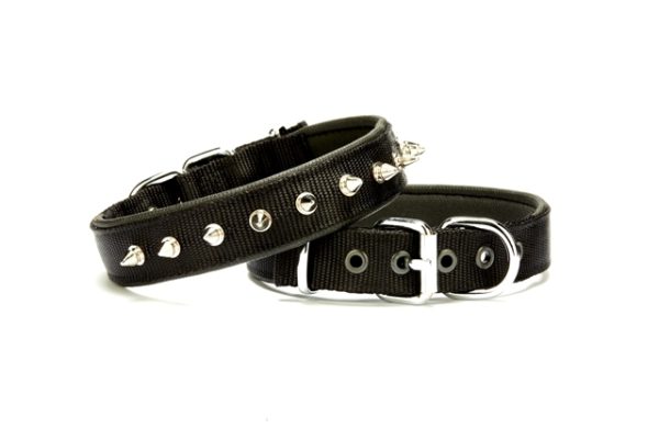 Çivi Desenli Köpek Tasması 2,5*50 cm Siyah