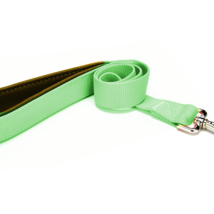 Köpek Gezdirme Kayışı 2 cm x 115 cm Yeşil