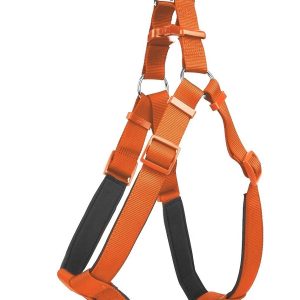 Köpek Bel Tasması 95cm XX-Large Tcu