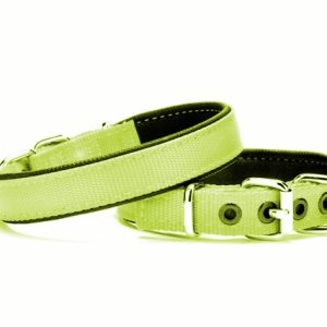 Yumuşak Doku Köpek Boyun Tasması 2/45 cm Yeşil