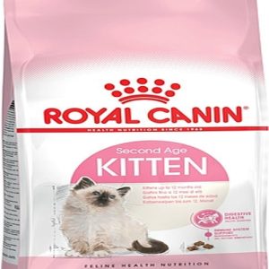 36 Yavru Kedi sı 2 KG