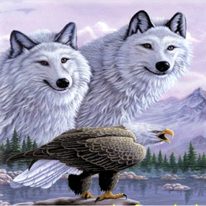 3 Boyutlu   Kartallı Kurt Resmi Tablosu 40x60 cm