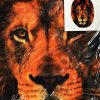 Yüze Yapışan Kafaya Tam Geçmeli Streç Aslan Maske Bez Maske Model 13