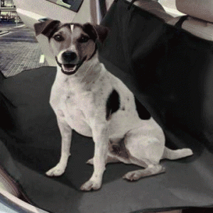 Evcil Hayvan Araç Arka Koltuk Kılıfı - Siyah  (Taşıma Çantası Hediye)