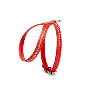 Taşlı Deri Köpek Göğüs Tasması 1,2 x 21-30 cm Kırmızı