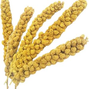 Vitaking Kuşlar İçin Doğal Sarı Dal Darı 100 gr