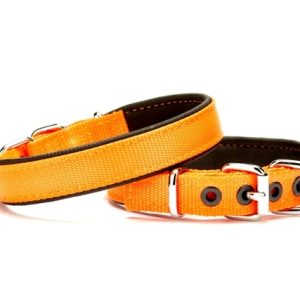 Yumuşak Doku Köpek Boyun Tasması 1,5/35 cm Tcu